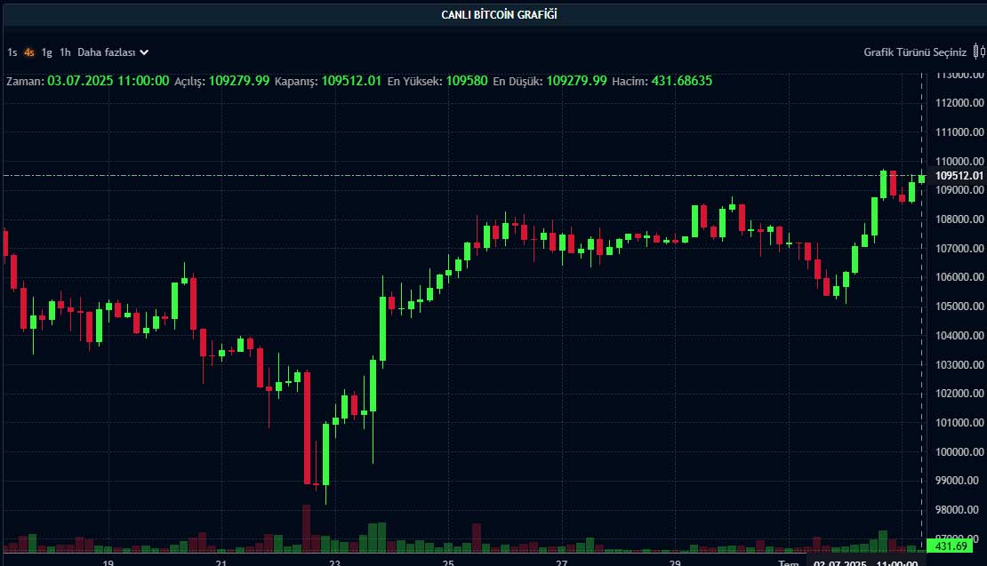 BTC fiyat grafiği