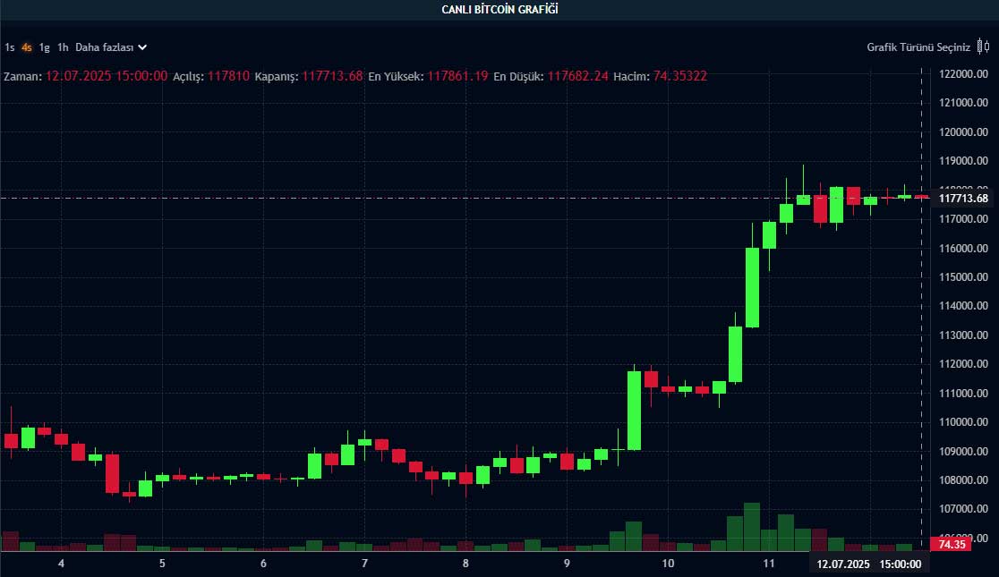 BTC fiyat grafiği