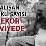 DİSK-AR: Emekliler geçinemiyor, çalışmak zorunda kalıyor