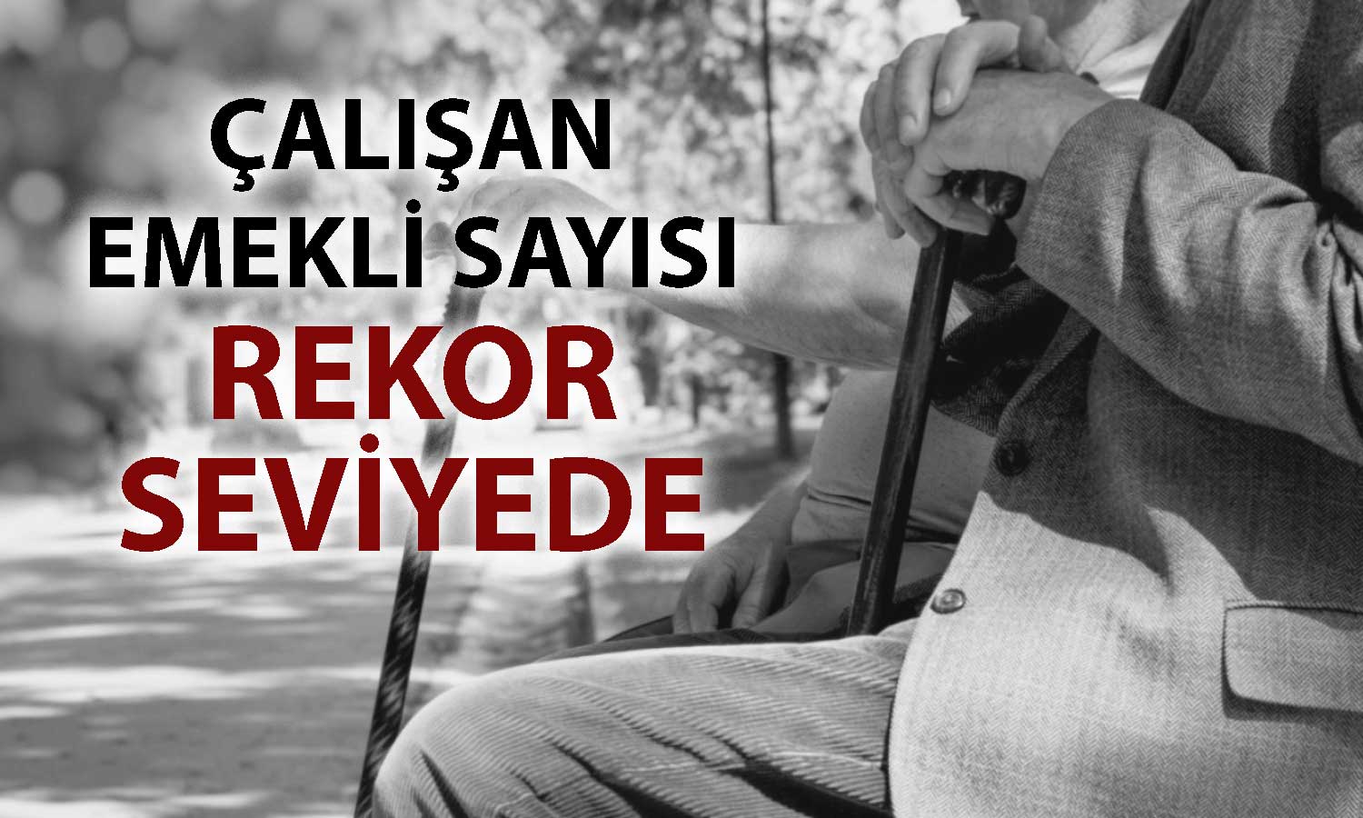 DİSK-AR: Emekliler geçinemiyor, çalışmak zorunda kalıyor