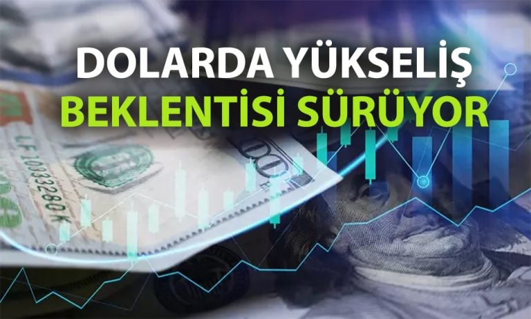 Goldman Sachs, Dolar/TL tahminini sürdürdü: 45 TL bekleniyor