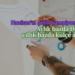 Haziran’da aylık en yüksek getiri DİBS’lerde görüldü