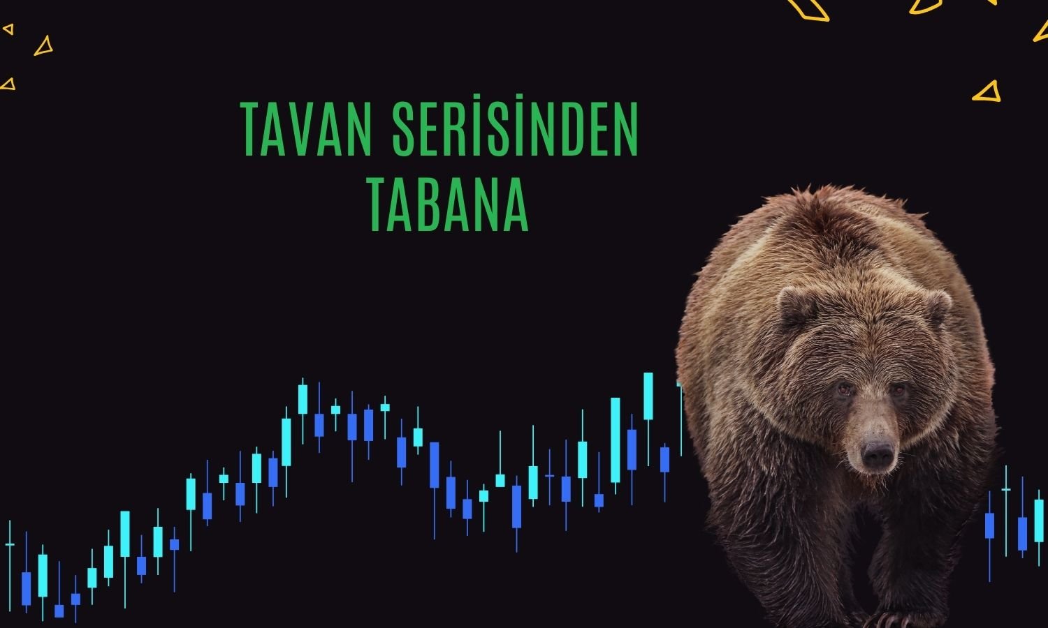 Hızlı tırmandı, sert düştü: Hisselerde hareket olağan mı?