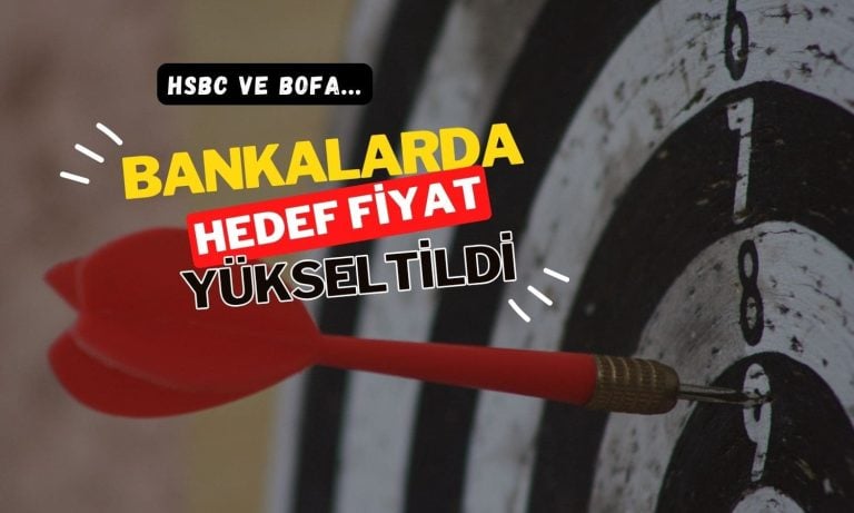 HSBC ve BofA banka paylarında hedef fiyatı yükseltti