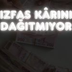 Kâr 19,7 milyon TL, temettü yok: Hisseler yüzde 239 primli