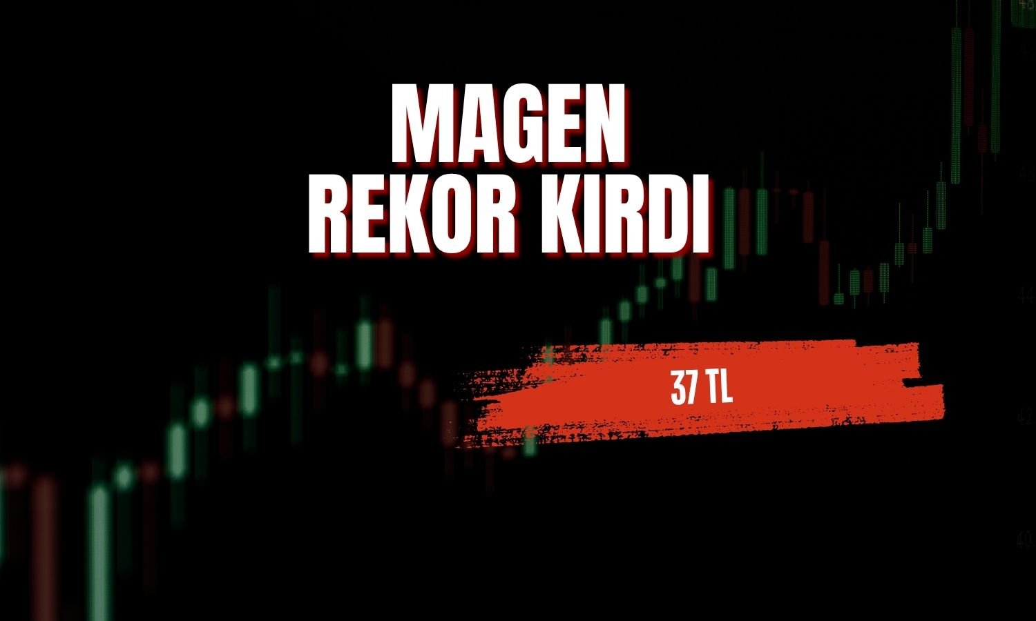 Margün Enerji’den depolamalı GES atağına yetki hamlesi