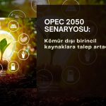 OPEC 2050 senaryosu: Kömür dışı birincil kaynaklara talep artacak