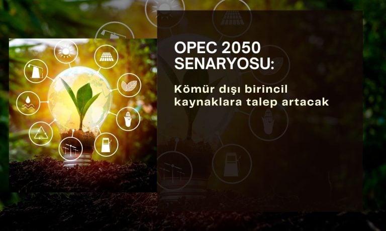 OPEC 2050 senaryosu: Kömür dışı birincil kaynaklara talep artacak