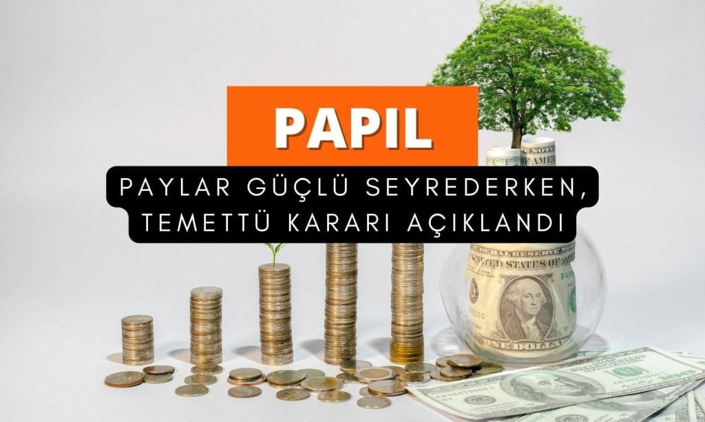Papilon Savunma (PAPIL) sonucu paylaştı: Temettü ödenmeyecek