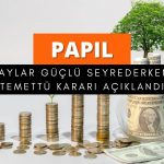 Papilon Savunma (PAPIL) sonucu paylaştı: Temettü ödenmeyecek