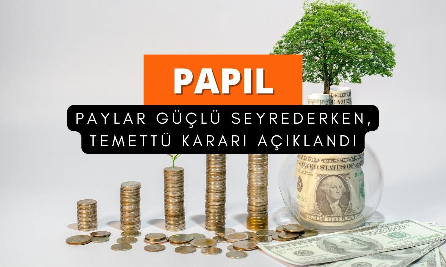 Papilon Savunma (PAPIL) sonucu paylaştı: Temettü ödenmeyecek