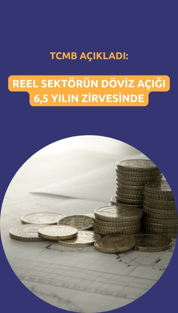 Reel sektörün döviz açığı 176,2 milyar dolar: 6,5 yılın zirvesi