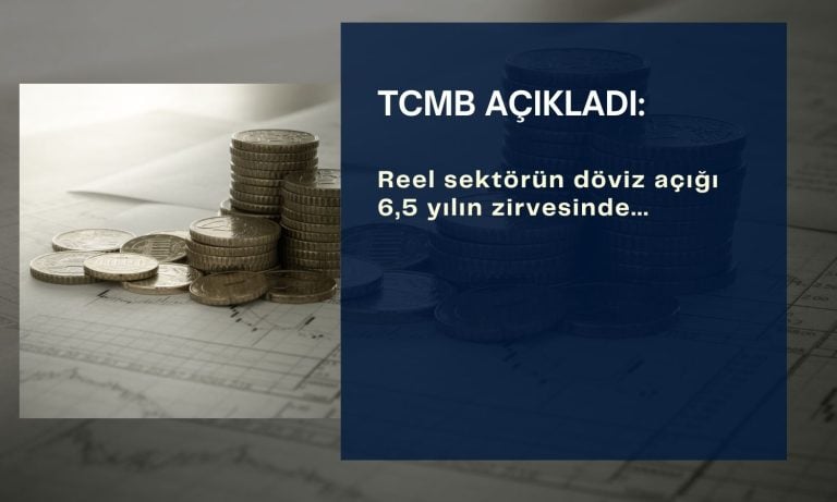 Reel sektörün döviz açığı 176,2 milyar dolar: 6,5 yılın zirvesi