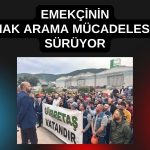 Talepleri karşılanmayan Gübretaş emekçisi grev başlattı!