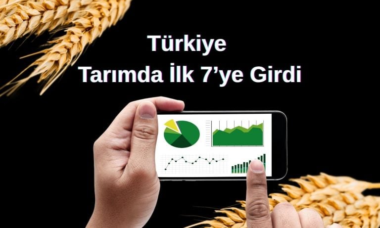 Tarımda rekor yıl: Türkiye 74 milyar dolarla 7. sıraya yükseldi