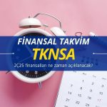 Teknosa (TKNSA) 2Ç25 finansal takvimini açıkladı