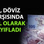 TL’nin reel değeri Haziran’da geriledi: Dövizdeki artış etkili oldu