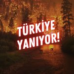 Türkiye yanıyor! 5 şehirdeki orman yangına müdahale ediliyor