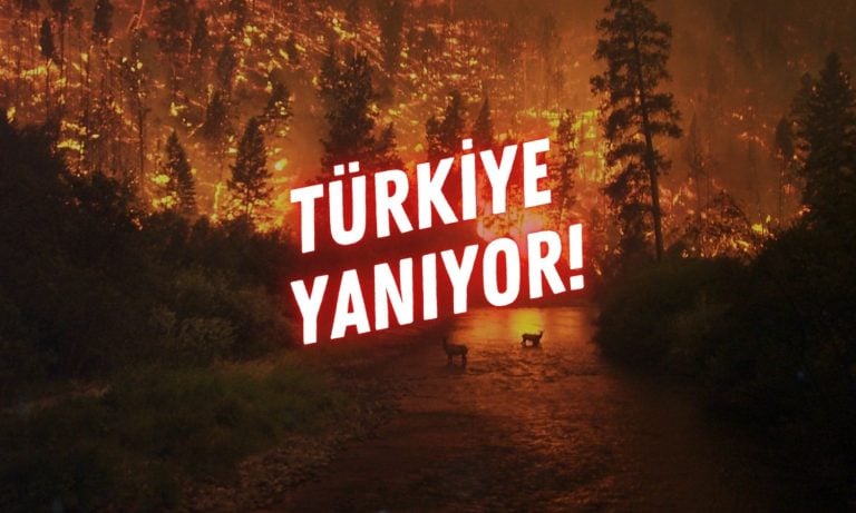 Türkiye yanıyor! 5 şehirdeki orman yangına müdahale ediliyor