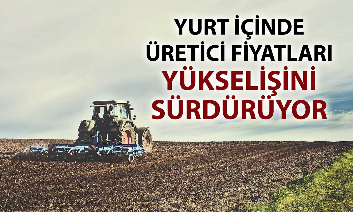 Üretici fiyatlarında Haziran’da yükseliş sürdü
