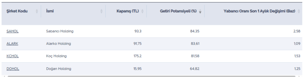 Yüksek potansiyelli ve yabancı oranı artan holdingler