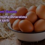 Yumurta ihracatına izin şartı: Listeye eklendi