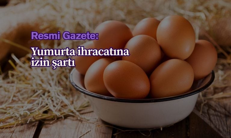 Yumurta ihracatına izin şartı: Listeye eklendi