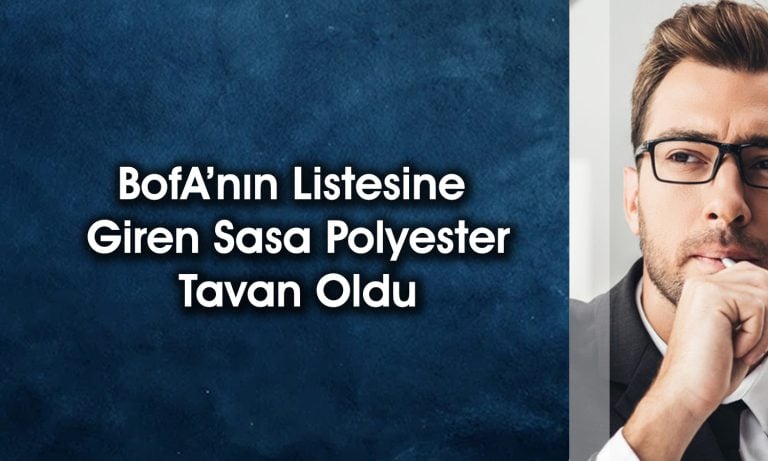 BofA’dan borsada 482 milyon TL’lik alım: Tüpraş başı çekti
