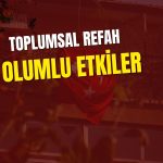 Bolat: Düşen enflasyonla alım gücü artacak, refah güçlenecek