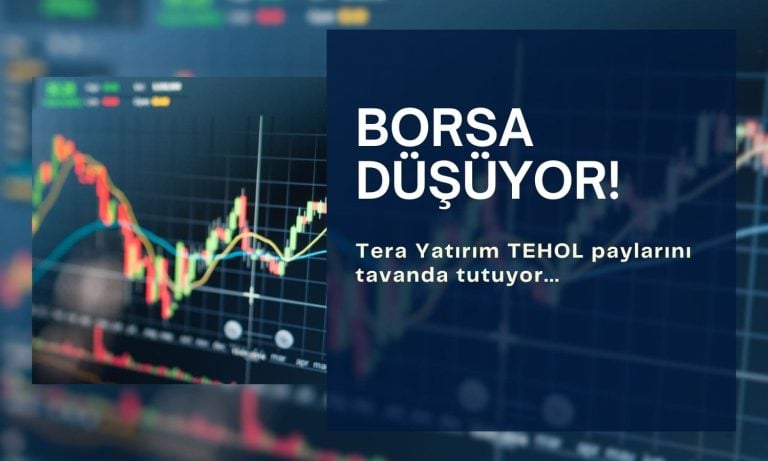Borsa güne düşüşle başlarken, TEHOL paylarına güçlü giriş