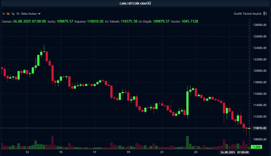 BTC fiyat grafiği
