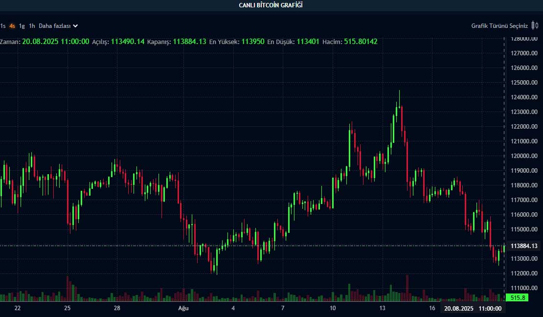 BTC fiyat grafiği