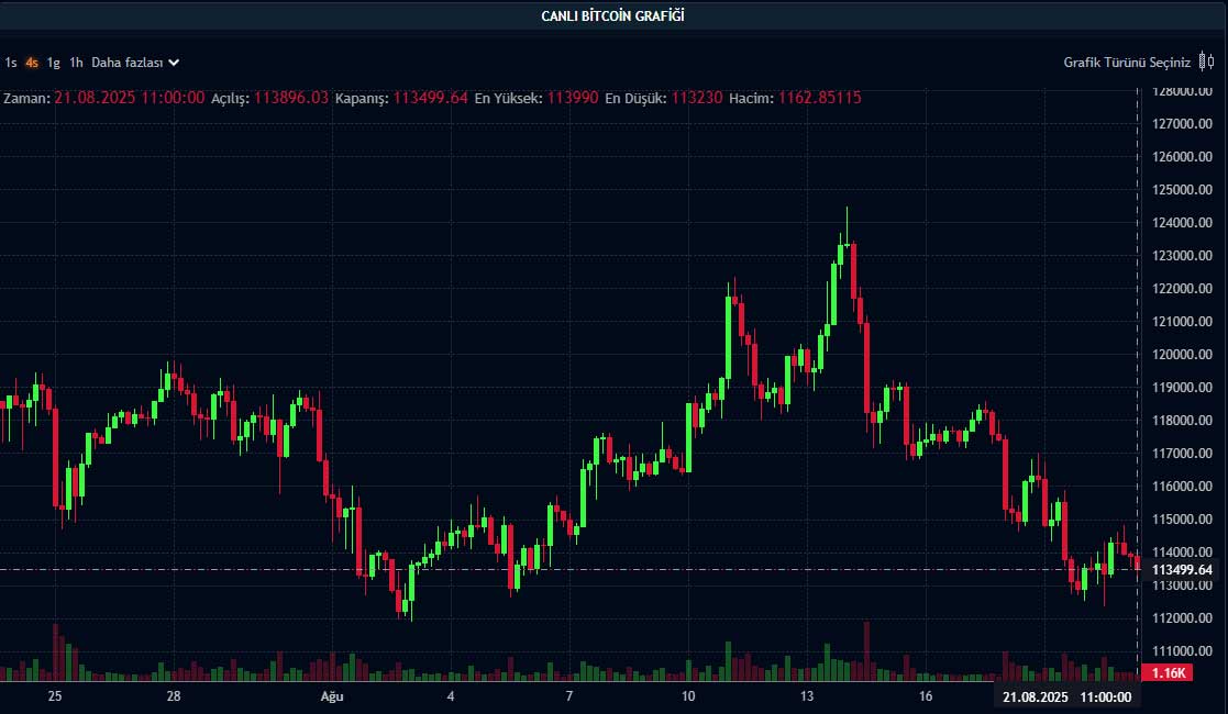 BTC fiyat grafiği