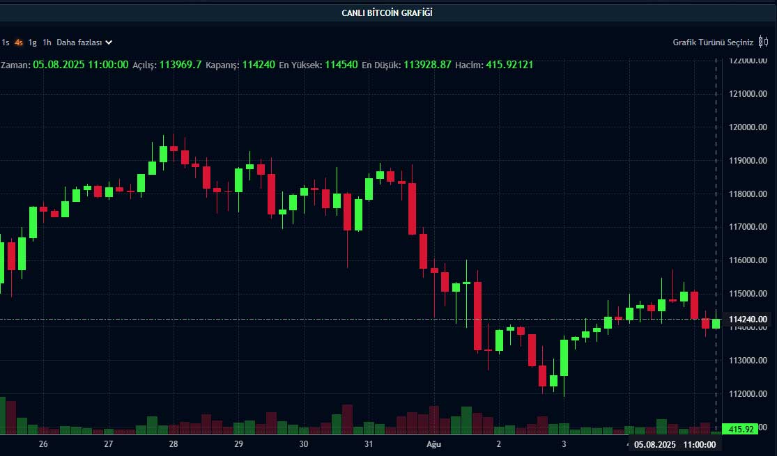 BTC fiyat grafiği