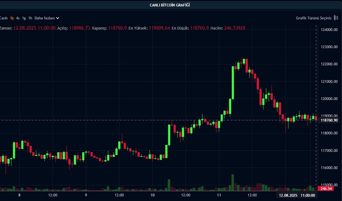 BTC fiyat grafiği BTC fiyat grafiği