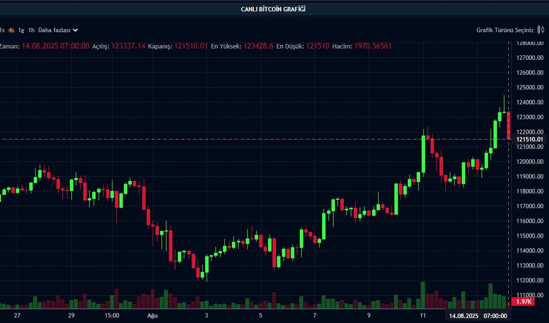 BTC fiyat grafiği