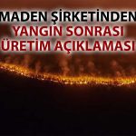 Bursa’daki orman yangını CVK Maden’i vurdu: Üretim durdu