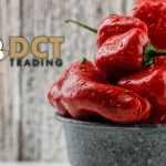 DCT Trading (DCTTR) bağlı ortaklığı AB pazarında büyüyor