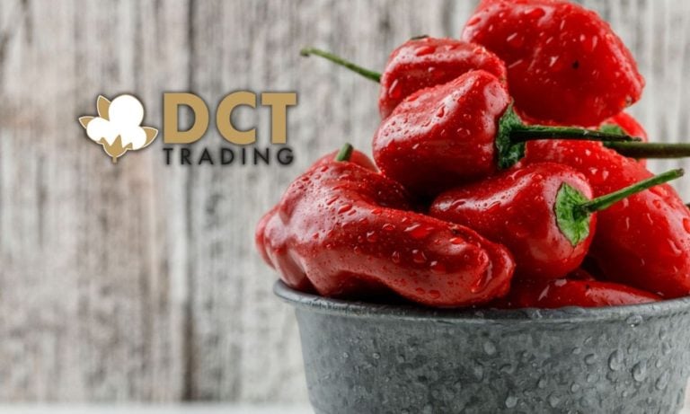 DCT Trading (DCTTR) bağlı ortaklığı AB pazarında büyüyor
