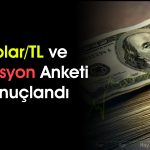Dolar kuru 51’i aşacak! Anketler ne gösteriyor?
