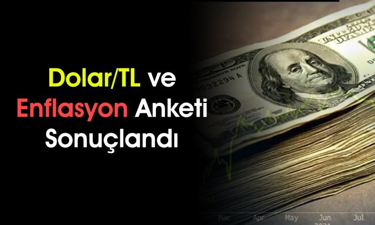 Dolar kuru 51’i aşacak! Anketler ne gösteriyor?