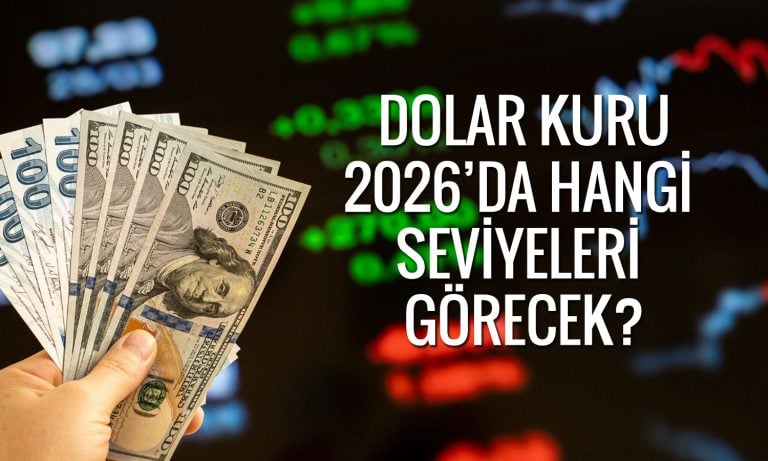 Dolar/TL 50 seviyesini görecek: SEB Research tarih verdi