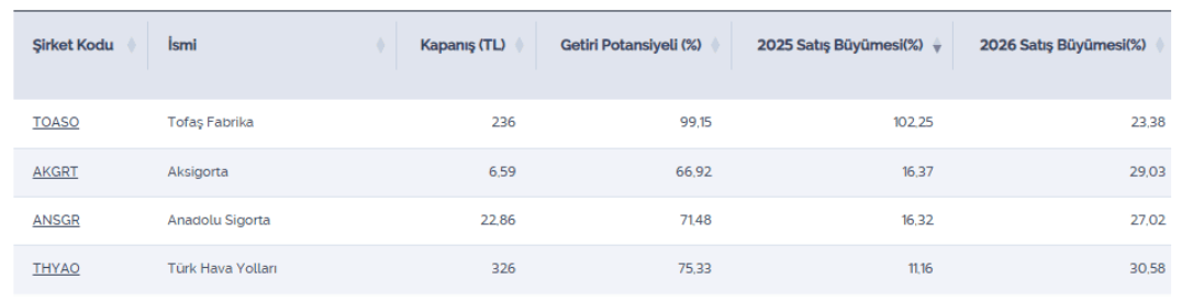 Getiri potansiyeli yüksek ve büyümesi beklenen 4 şirket