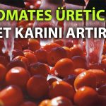 Merko Gıda, 2025 mali yılında net karını yüzde 86 artırdı
