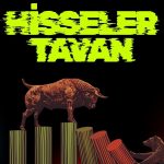 MMCAS: İmtiyazlı pay satışı için görüşmeler başladı