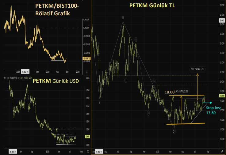 PETKM teknik görünüm