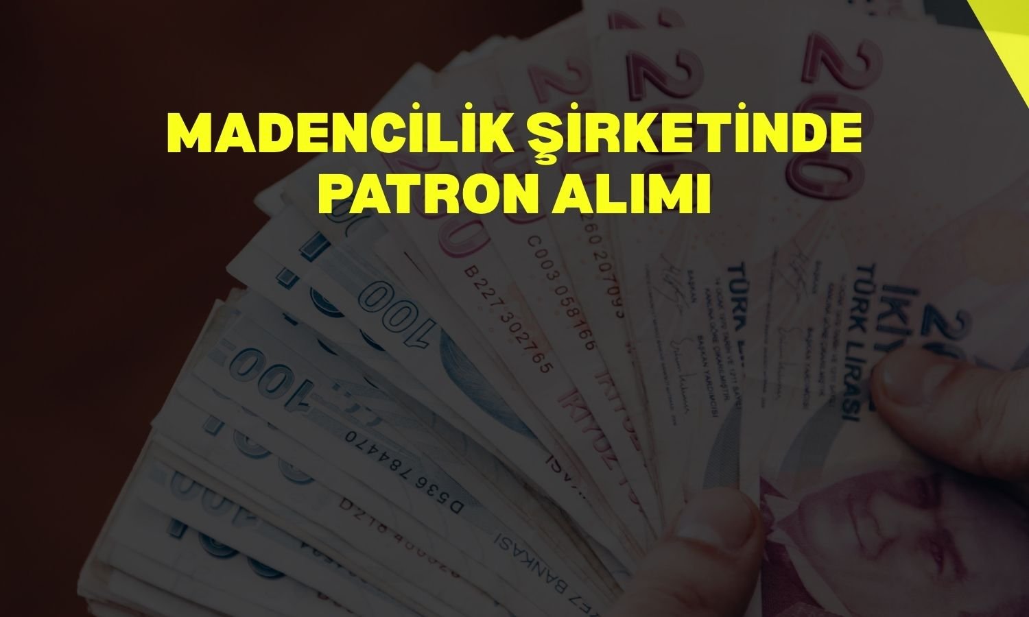 Ruzy Madencilik’te 1 milyon TL’lik hisse alımı