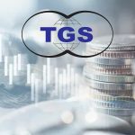 TGS Dış Ticaret (TGSAS) stratejik birleşmeyle tavan oldu