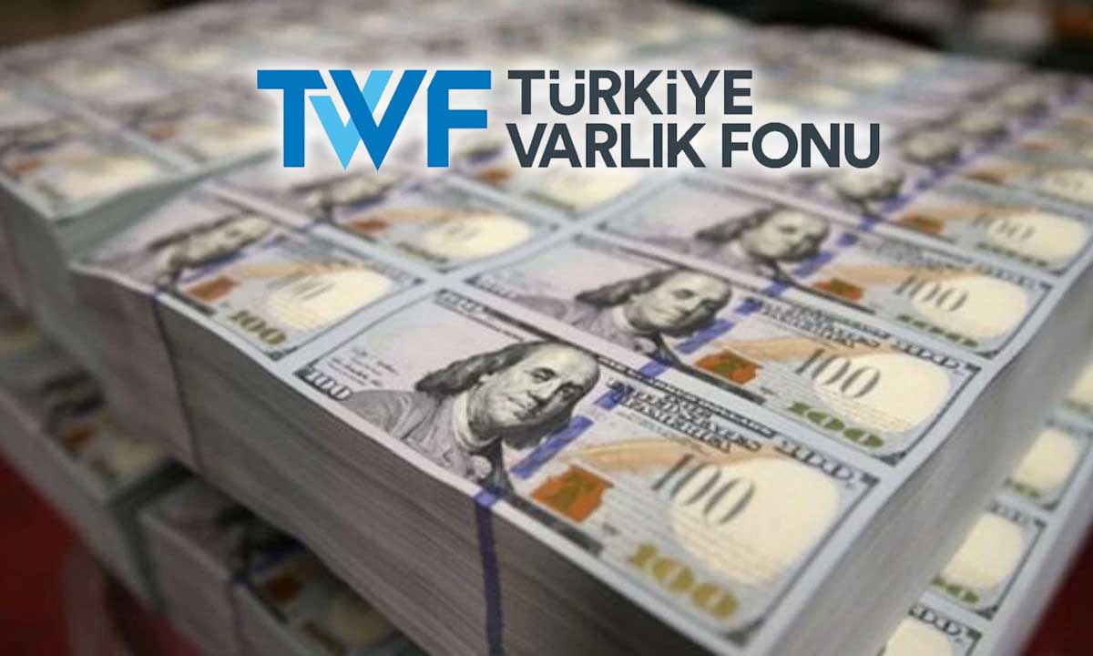 Türkiye Varlık Fonu, Eylül’de dolar cinsinden tahvil ihracı planlıyor