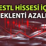 VESTL için hedef fiyat indirimi: 44 TL’ye düşürüldü